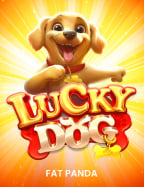 สมัคร คา ร่า วิธีการเล่นที่มืออาชีพต้องรู้